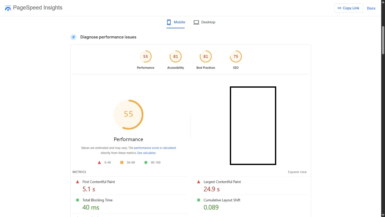 A well-resourced local music-education competitor — Performance score: 55, with a 24.9-second Largest Contentful Paint on mobile